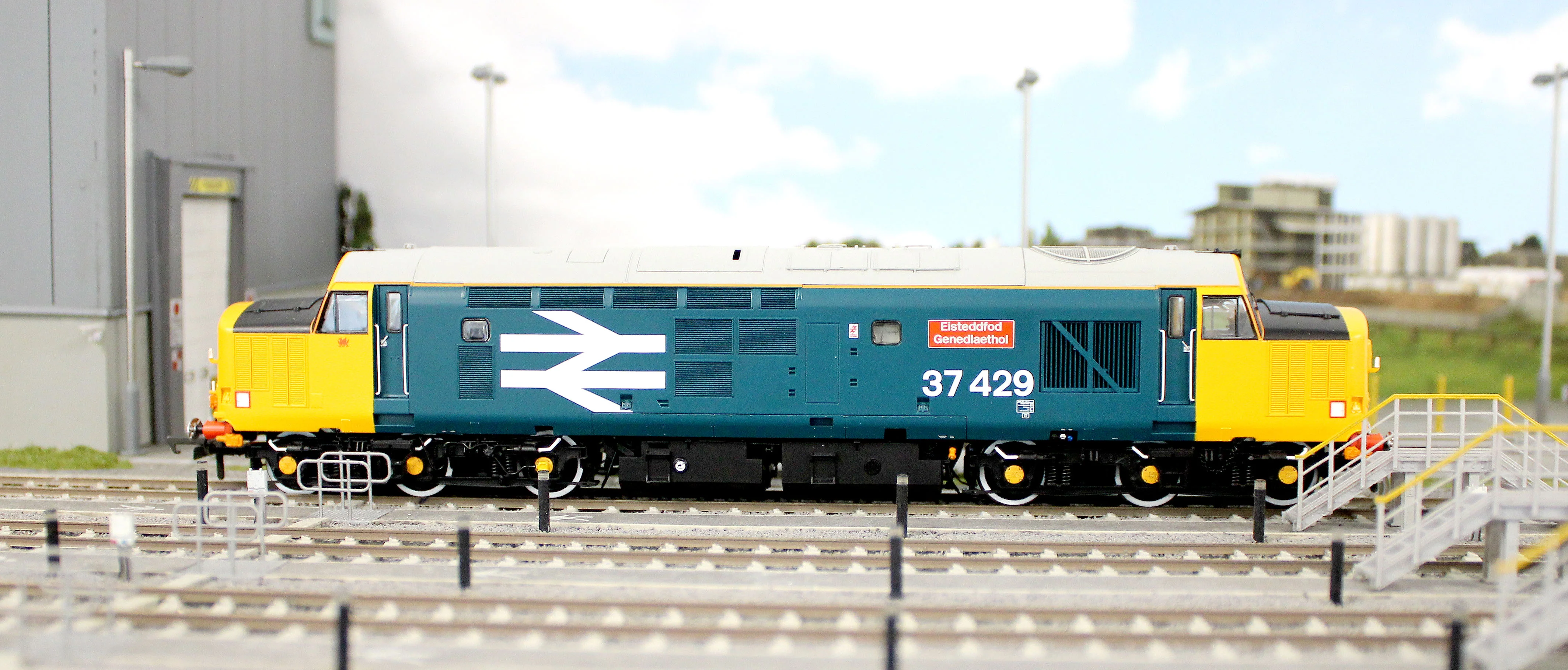 ACC3155 Class 37 Eisteddfod Genedlaethol Large Logo Blue (with Welsh Dragon) 37429 Diesel Locomotive - Image 12