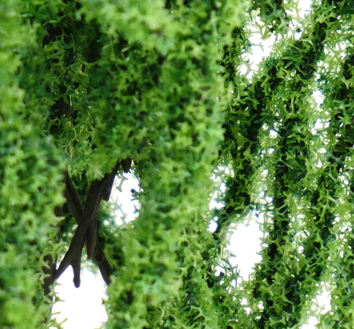 Tree Set - Weeping Willow (3) - Image 3