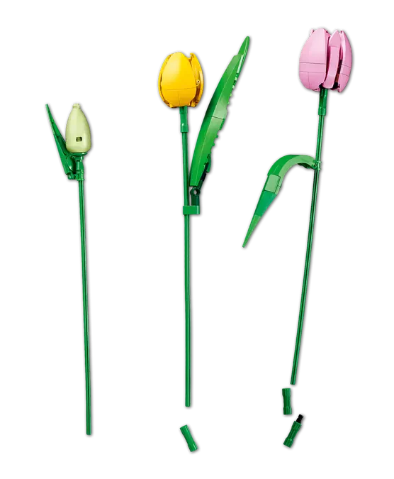 Lego Botanicals Tulip Bouquet - 11501 - Image 7