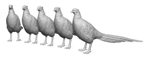 31406-148 N Gauge Pets, Wildlife & Livestock - Pheasants - Pack of 5