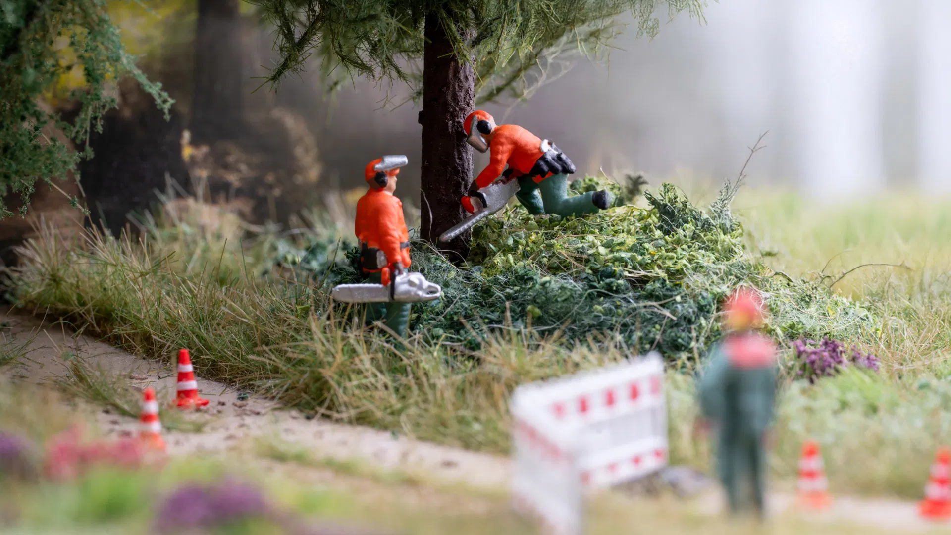 Felling Trees Sound Scenes 2.0 Module - HO/OO Scale