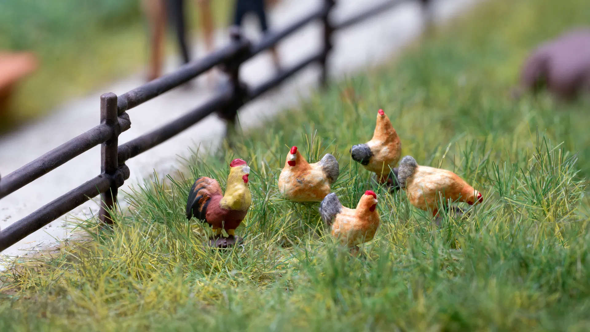 Chickens & Rooster Sound Scenes 2.0 Module - HO/OO Scale