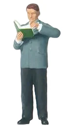 Librarian Figure