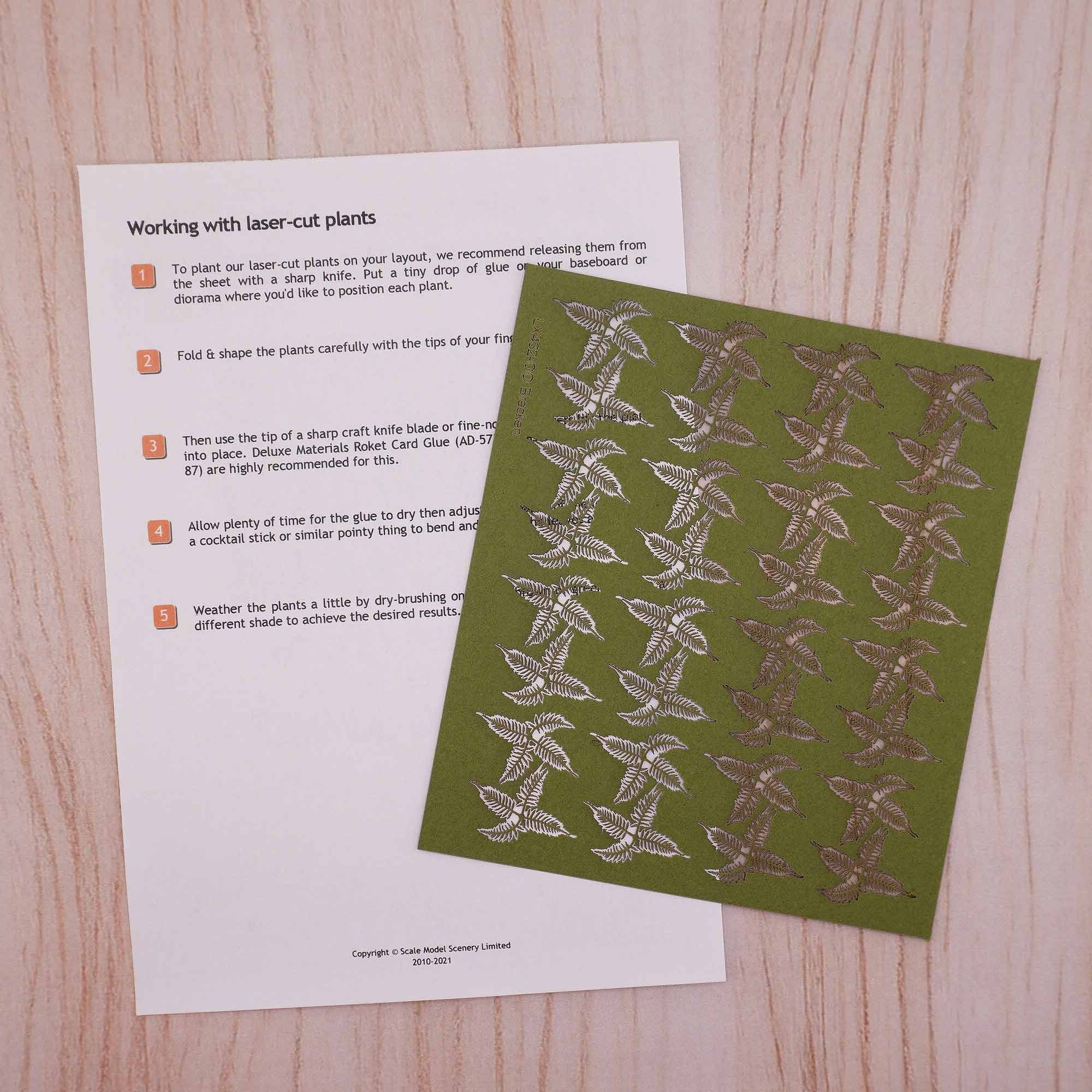 Summer Bracken / Fern Plants Model Kit - Image 2