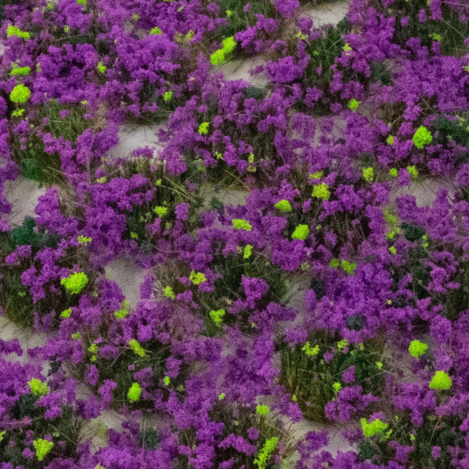 4mm Heather Self-Adhesive Static Grass Tufts x 100 - Image 3